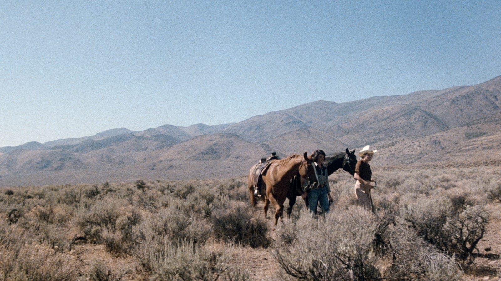 Women in Love: Desert Hearts