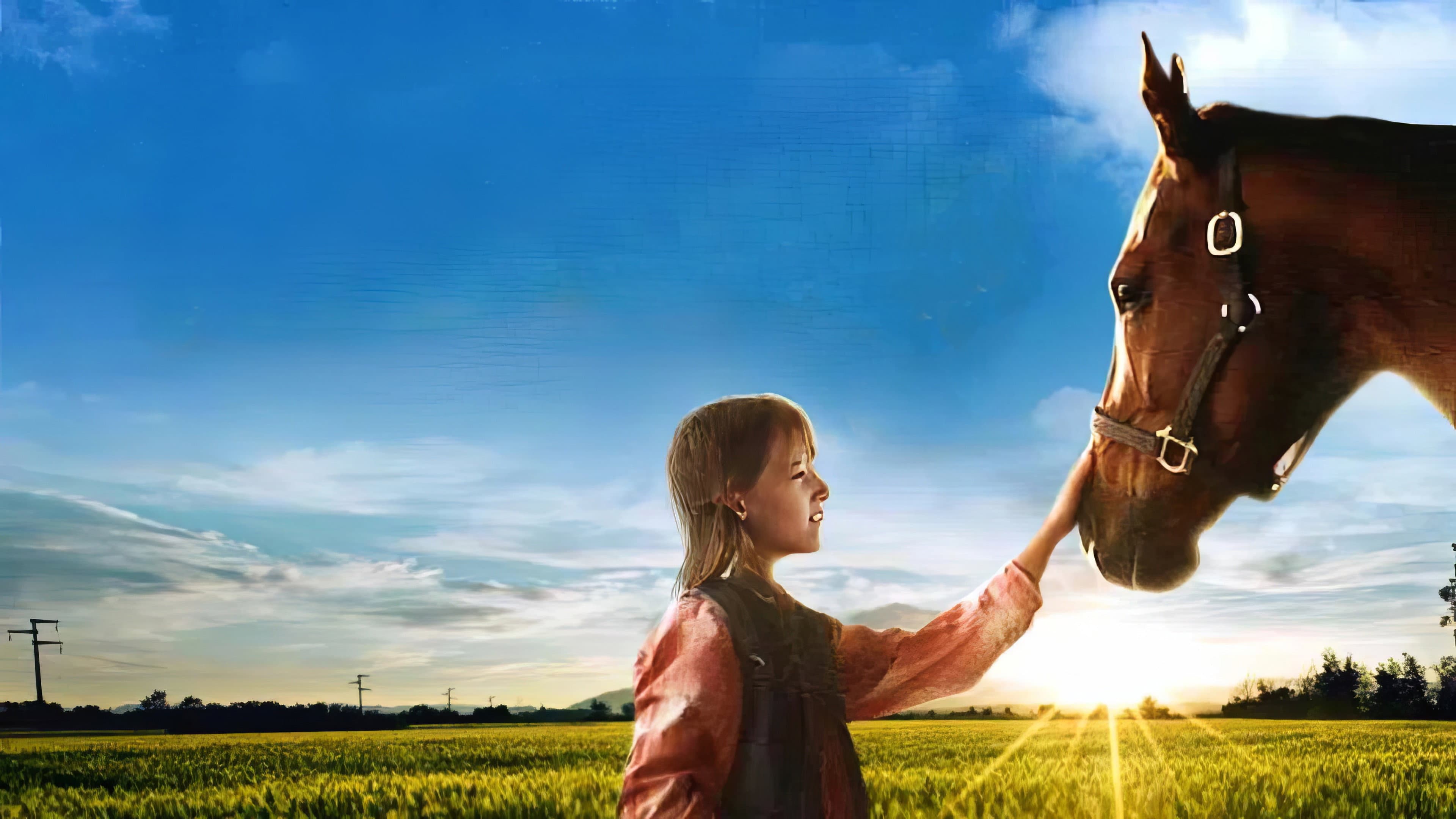 A Horse for Danny