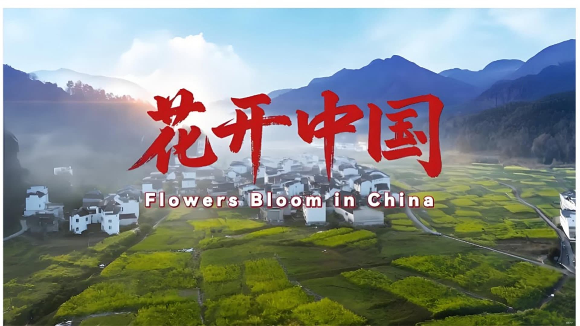 花开中国
