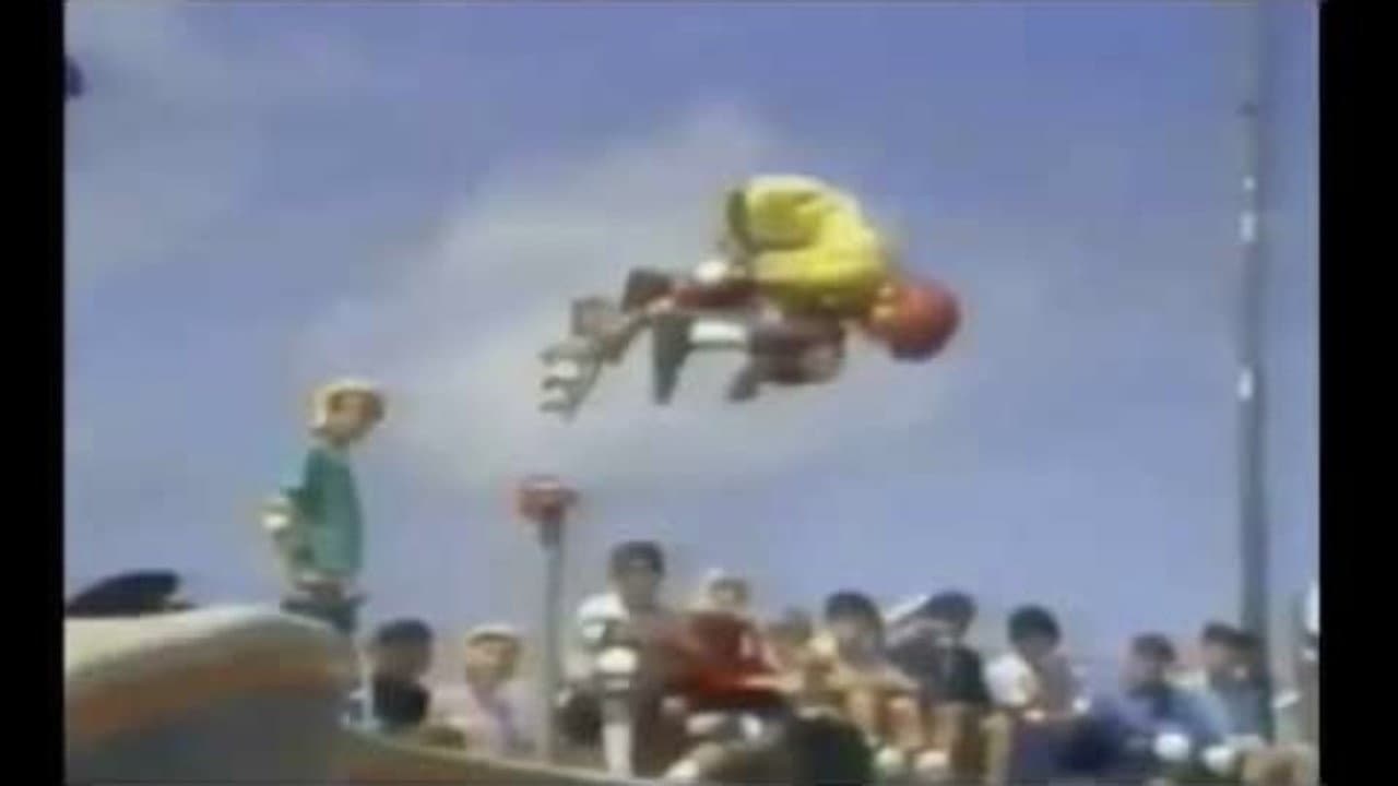 The Bones Brigade Video Show