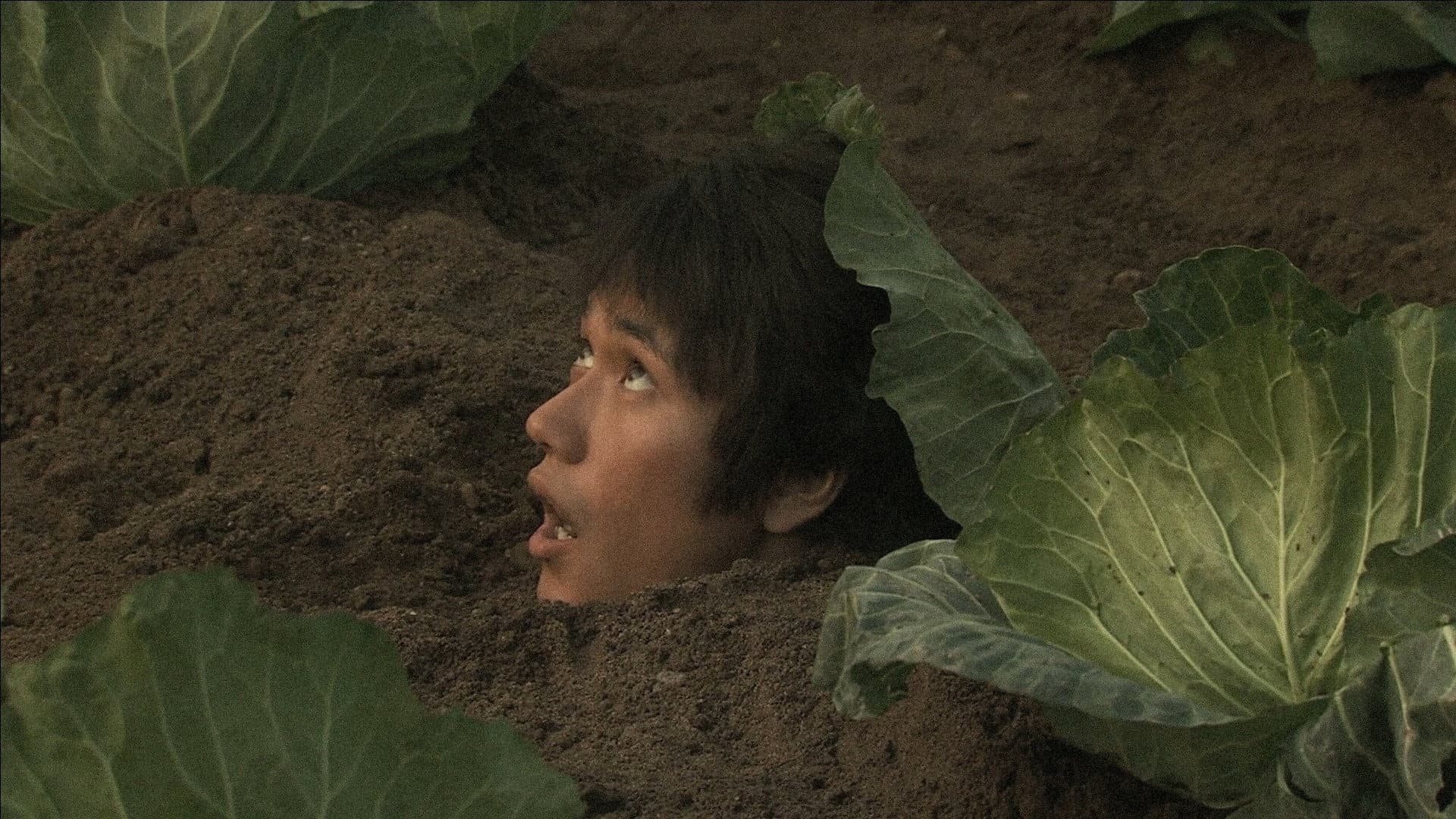 Bare Essence of Life
