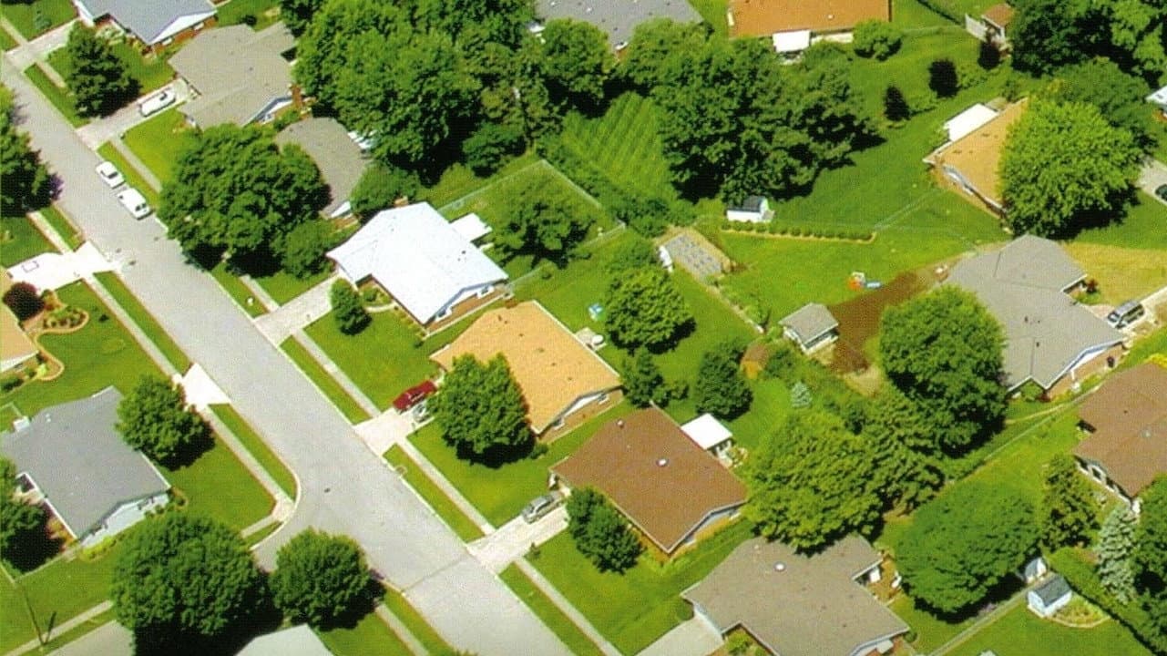 The Neighbours
