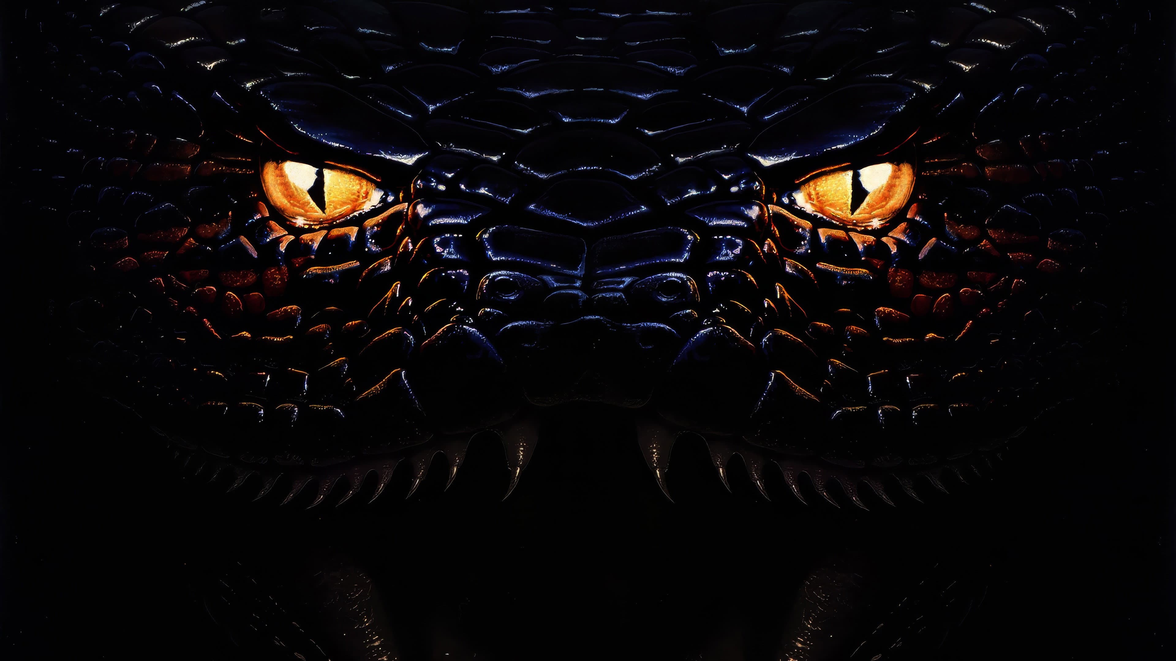 Anaconda