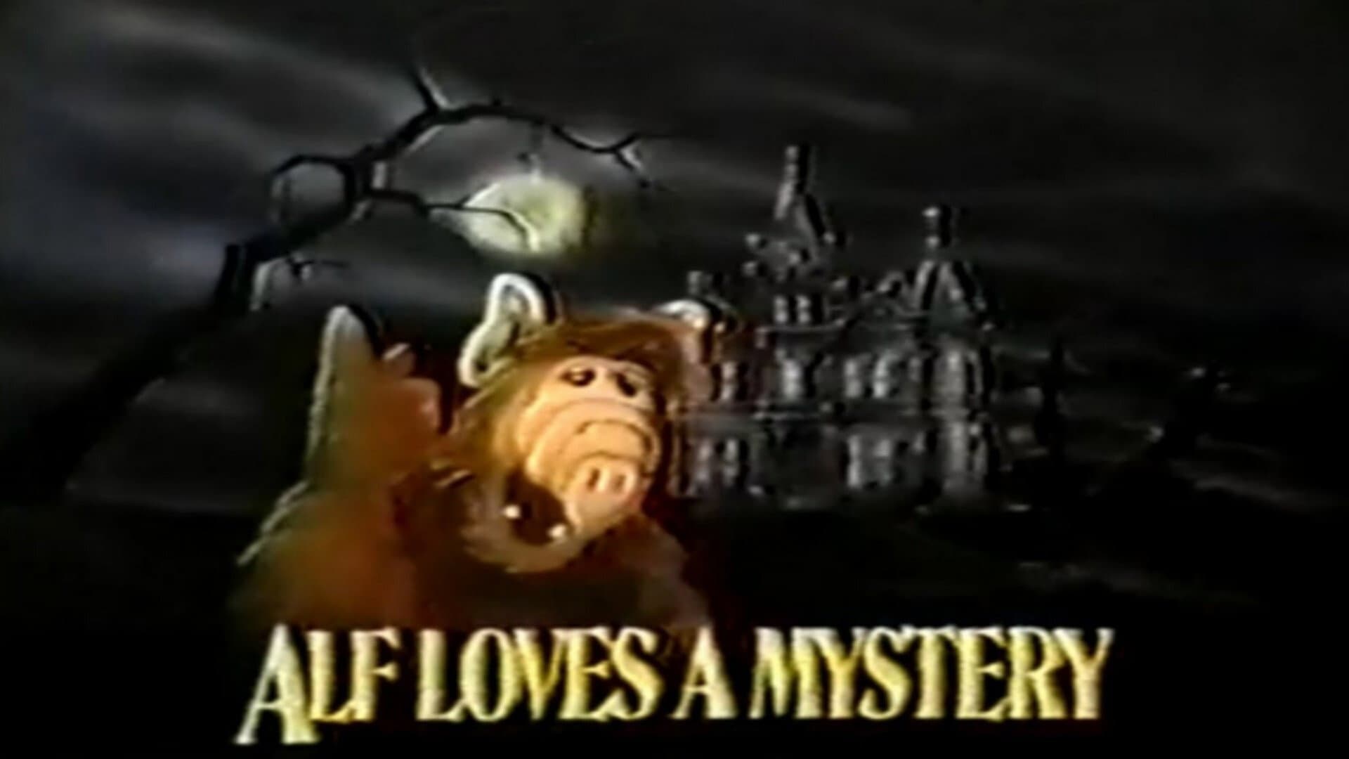 ALF Loves a Mystery