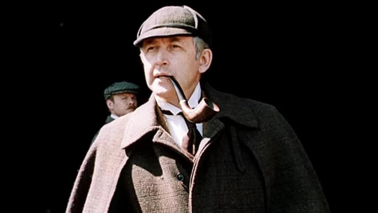 Sherlock Holmes in the 20th Century