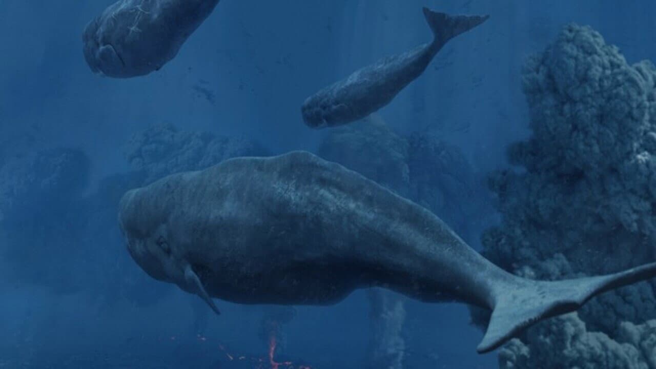 Tim Haines Deep Ocean