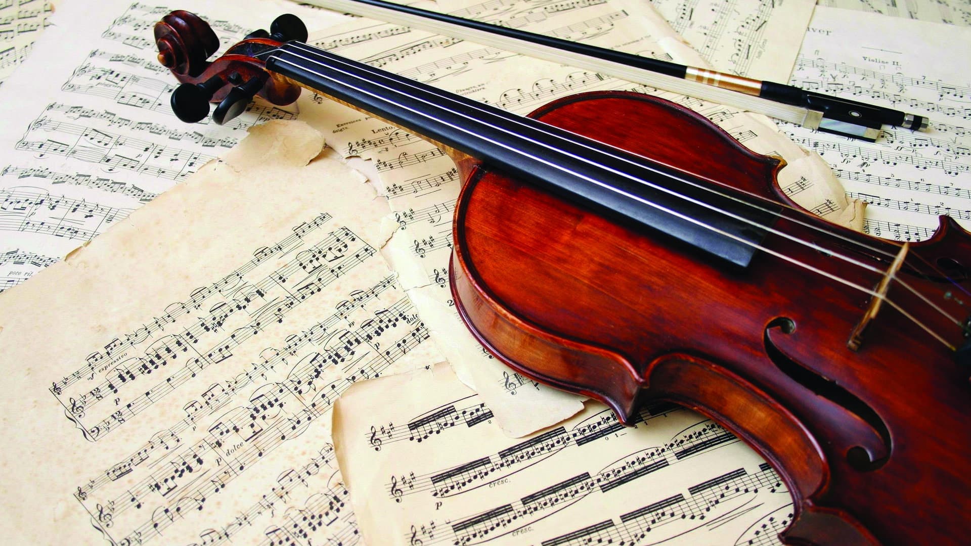 The Art of Violin