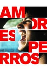 Amores Perros