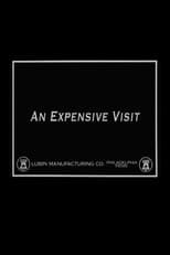 An Expensive Visit