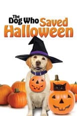 The Dog Who Saved Halloween