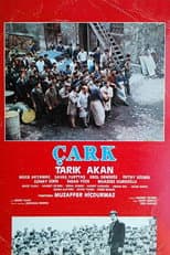Çark