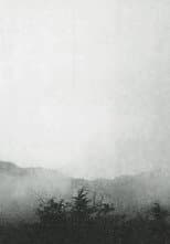 Mist
