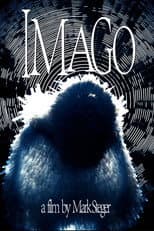 Imago