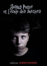 James Potter et l'école des sorciers