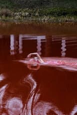 Swimming Through