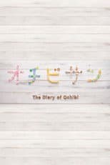 The Diary of Ochibi