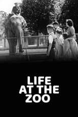 Life at the Zoo
