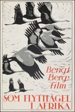As a Migratory Bird in Africa