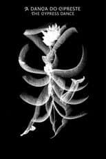 The Cypress Dance