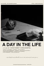 A DAY IN THE LIFE