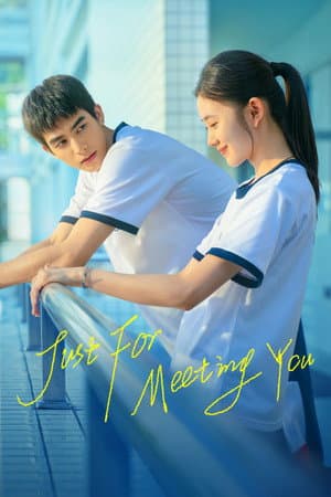 Just For Meeting You