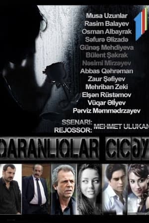 Qaranlıqlar çiçəyi