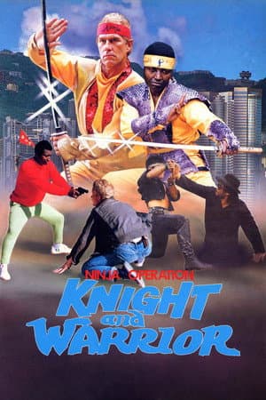 Ninja Operation: Knight and Warrior