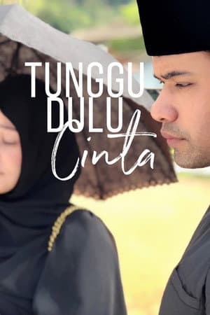 Tunggu Dulu Cinta