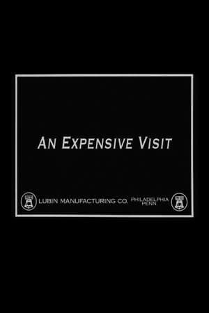 An Expensive Visit