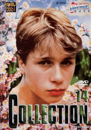 Game Boys Collection 14