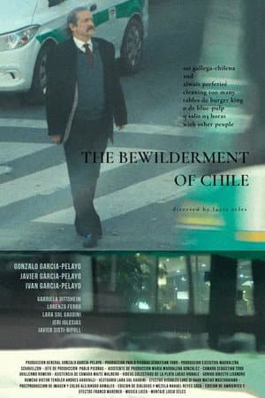 The Bewilderment of Chile