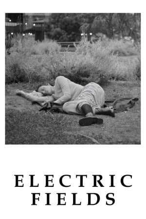 Electric Fields
