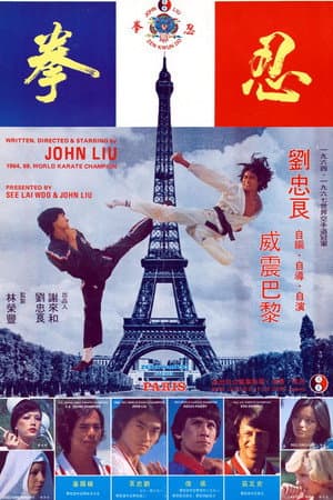 Zen Kwan Do Strikes Paris