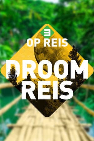 3 op Reis