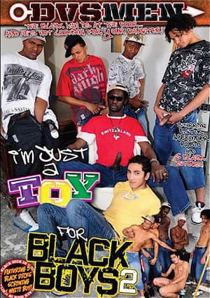 I'm Just A Toy For Black Boys 2