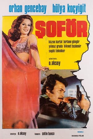 Şoför