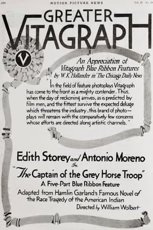 The Captain of the Grey Horse Troop
