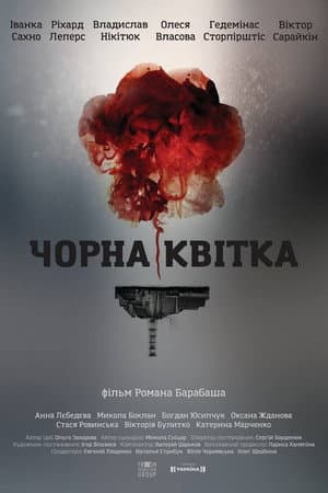Chornobyl: Aftermath