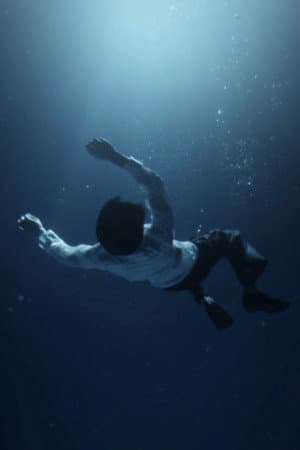 The Awake