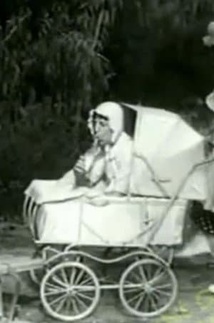 The Two Foxes
