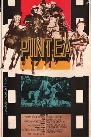 Pintea