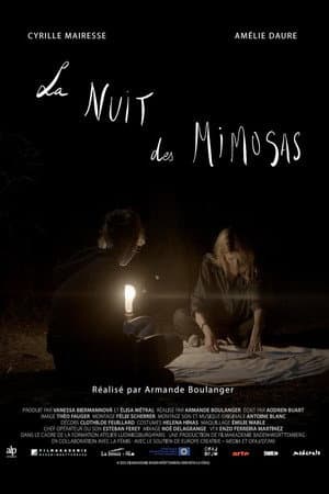 La nuit des mimosas