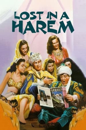 Lost in a Harem