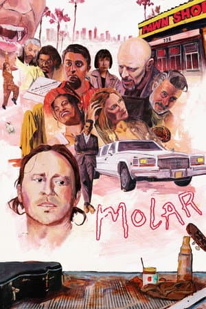 Molar