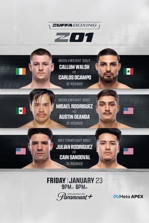 Zuffa Boxing 01