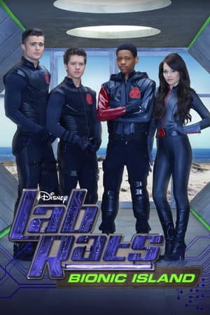 Lab Rats