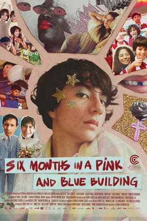 Six Months in a Pink and Blue Building
