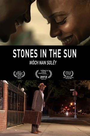 Stones in the Sun