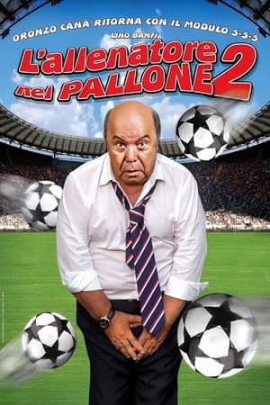 L'allenatore nel pallone 2
