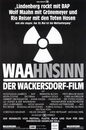 WAAhnsinn - der Film